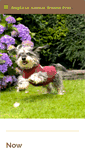 Mobile Screenshot of dogeaseuk.com